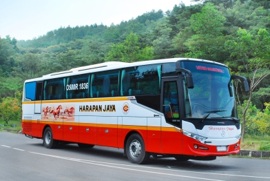 Agen Bus Harga Bus Tiket Bus PO Bus Harapan Baru
